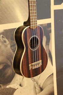 Kala Striped Ebony Soprano Ukulele